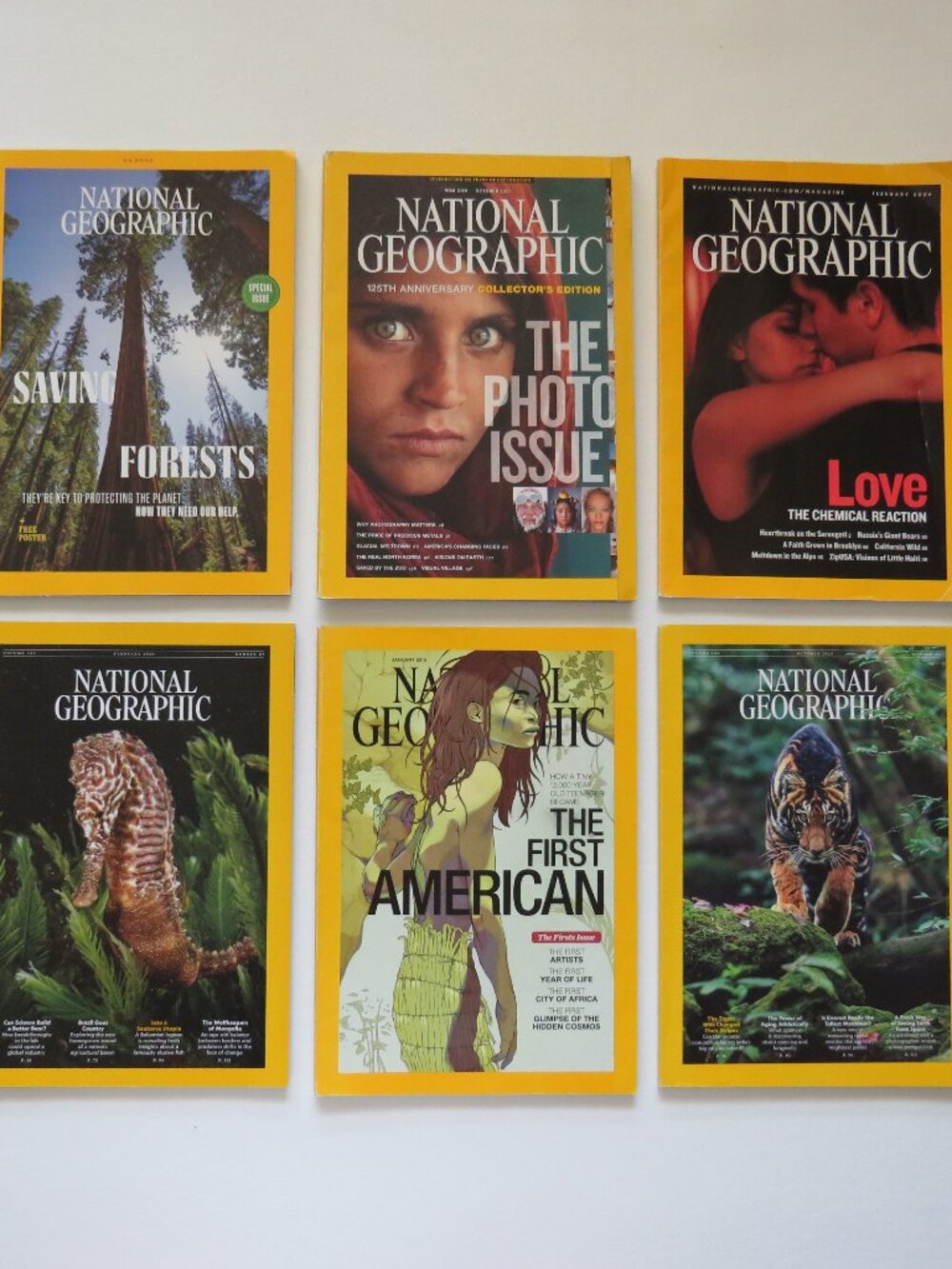 National Geographic Magazine Lot of 6 Magazines 2006 – 2026 Set #4
